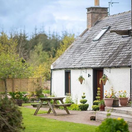 Cosy & Rustic Retreat - Woodland Cottage. Нэрн Экстерьер фото